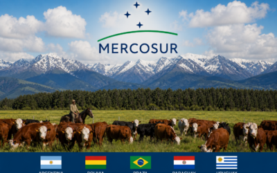 Mercosur trade deal strongly disliked by Canadian beef producers