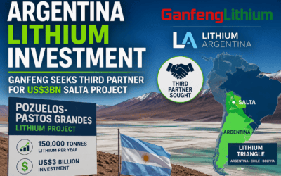 Argentina Lithium Investment: Ganfeng Seeks Third Partner for US$3bn Salta Project
